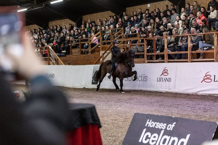 Á fimmtudaginn munu knapar tefla fram sínum allra bestu hestum þegar Meistaradeild Líflands í hestíþróttum hefst.