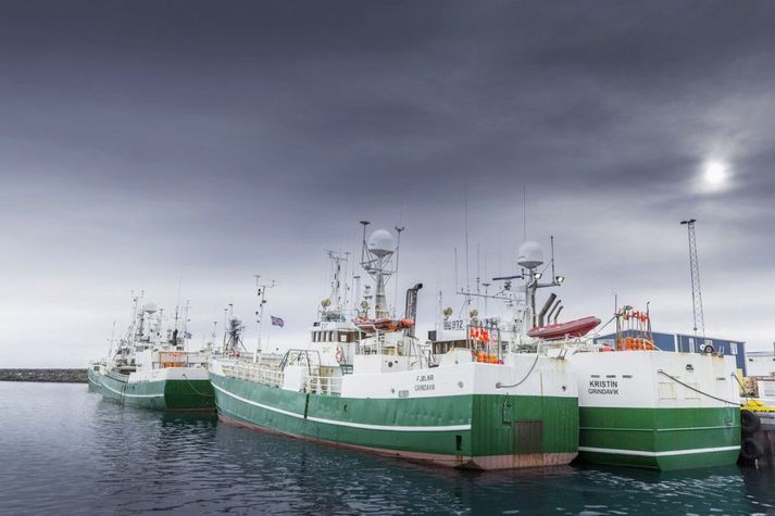 Vísir gerir út fjögur skip í aflamarkskerfinu og tvo báta í krókaaflamarki auk þess að reka einnig saltfiskvinnslu og hátækni bolfiskvinnslu í Grindavík. Á fiskveiðiárinu 2022-2023 eru væntar aflaheimildir félagsins um 15 þúsund þorskígildistonn.