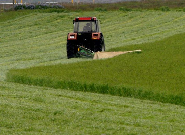 Frá slátturstörfum.