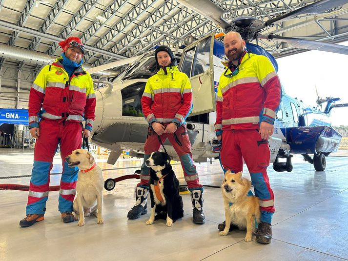 Björgunarsveitarmenn ásamt leitarhundum í flugskýli Landhelgisgæslunnar á Reykjavíkurflugvelli.