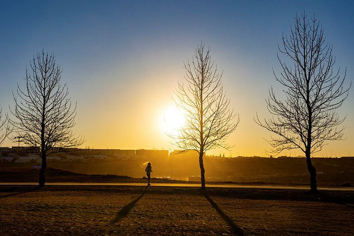 Frost í Kópavogi. Myndin tengist fréttinni ekki með beinum hætti.