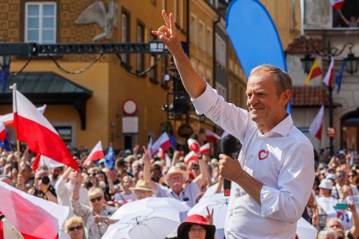 Leiðtogi stærsta stjórnarandstöðuflokksins og fyrrverandi forsætisráðherrann Donald Tusk fór fyrir mótmælendum.