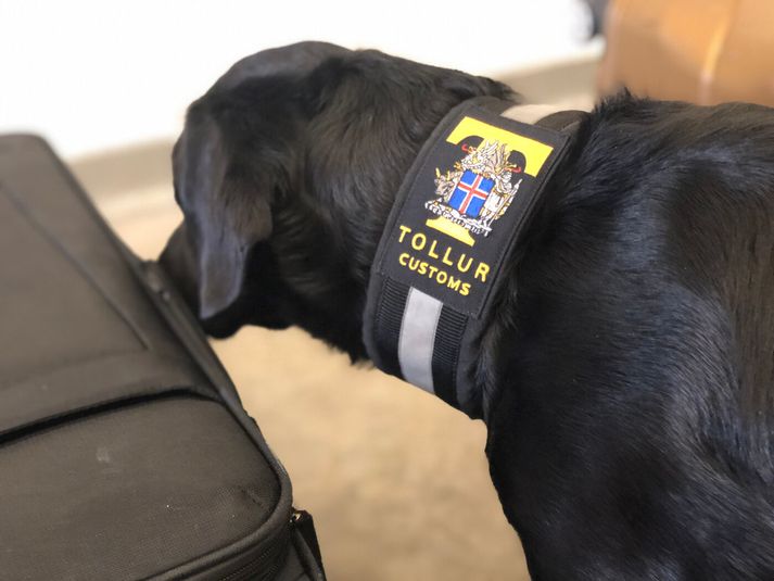 Mennirnir játuðu brot sín við þingfestingu málsins. 