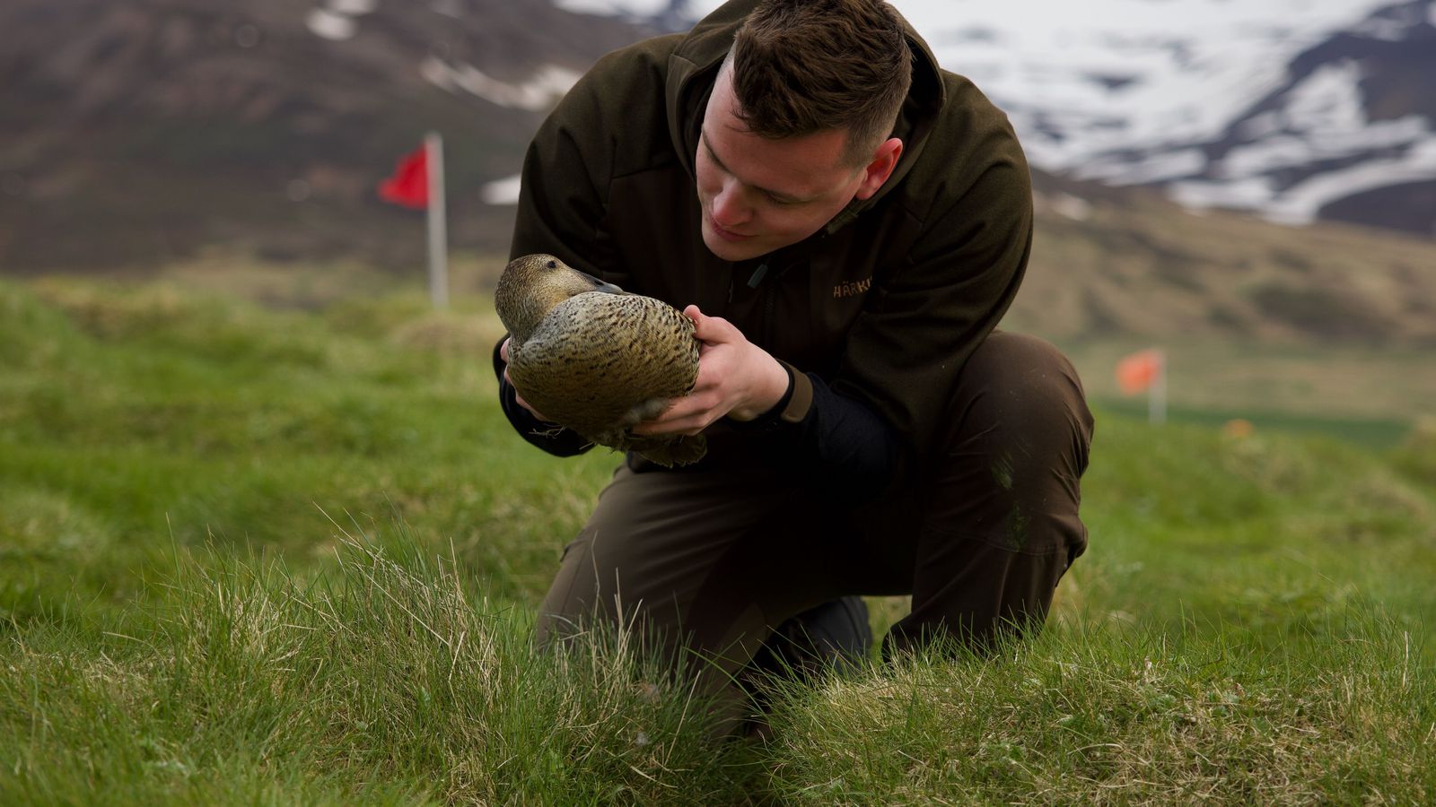 Oddvitaáskorunin: Myndi vilja vera „sér­fræðingur að sunnan“