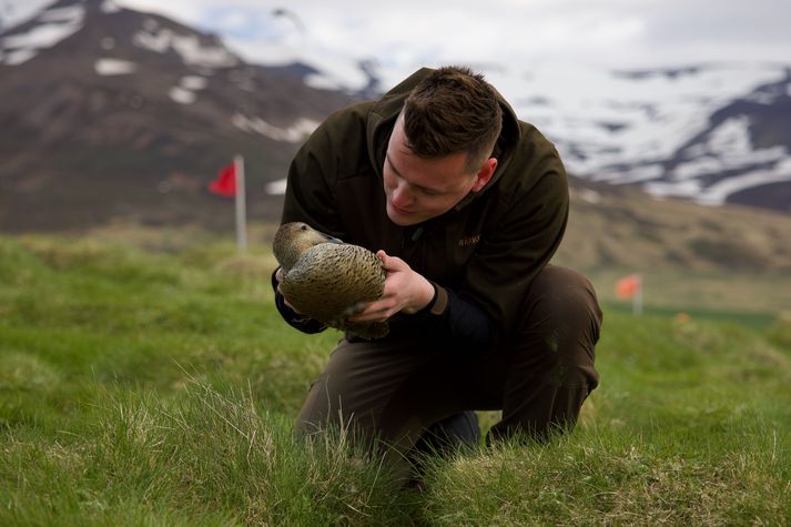 Árni heldur á æðarkollu.