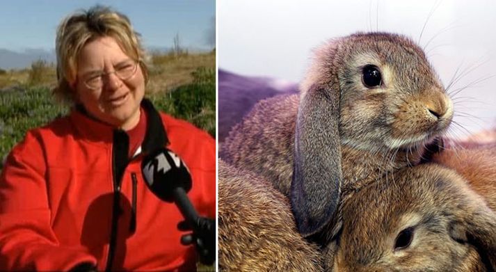 Birgit býður Íslendingum upp á kanínukjöt fyrir næstu jól.