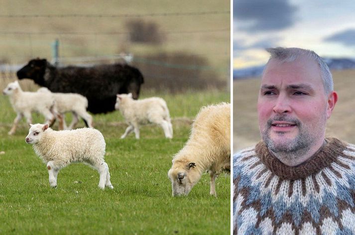 Eyjólfur Ingvi Bjarnason er formaður stjórnar hjá deild sauðfjárbænda innan Bændasamtaka Íslands.