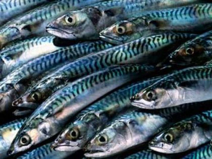 Aflaverðmæti íslenskra skipa nam 153 milljörðum í fyrra.