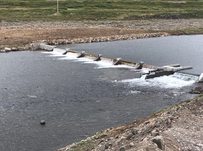 Laxateljarinn í Laugardalsá var settur niður í sumar.