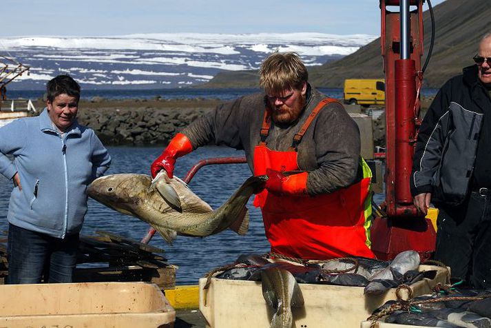 Strandveiðimenn mega veiða ákveðið magn á hverju svæði í byrjun hvers mánaðar. Magnið sem í boði er á Vesturlandi og Vestfjörðum í ágúst endist varla lengur en í tvo til þrjá daga, sem eru síðustu dagarnir fyrir verslunarmannahelgi.