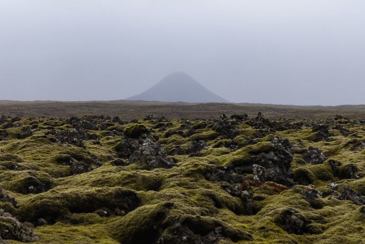 Ennþá er ekkert eldgos hafið en nokkuð kröftugir skjálftar mældust í nótt á Reykjanesinu.