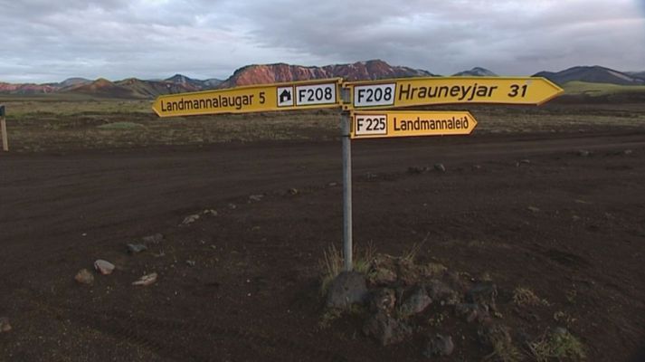 Göngugarparnir veiktust flestir af nóróveiru í sumar. 