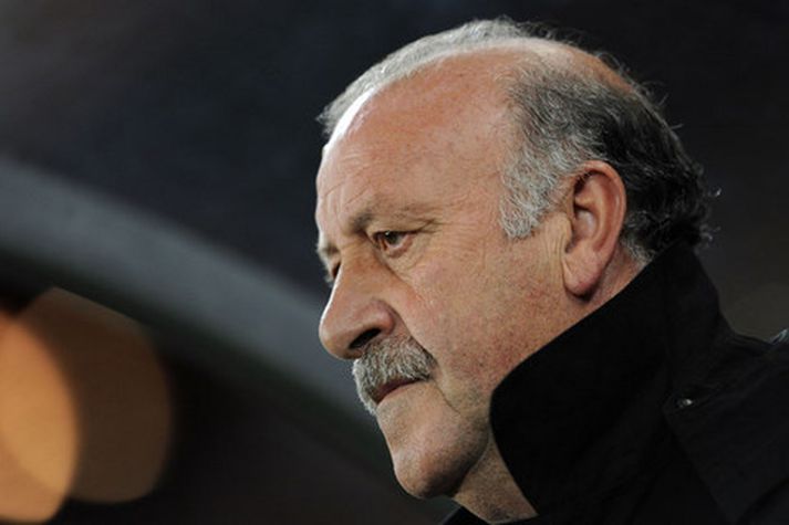 Vicente del Bosque, landsliðsþjálfari Spánar.