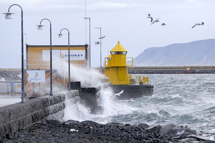 Vindmælir sem Samskip eru með á Vogabakka sló upp í 36 metra á sekúndu í morgun. Og þá lokuðu þeir og forðuðu sér í skjól.