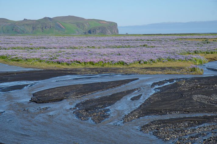 Ferðaþjónustuaðilar sem sinna ferðaþjónustu á eða við jökulinn hafa verið upplýstir.