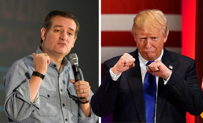 Ted Cruz og Donald Trump berjast um fyrsta sætið.