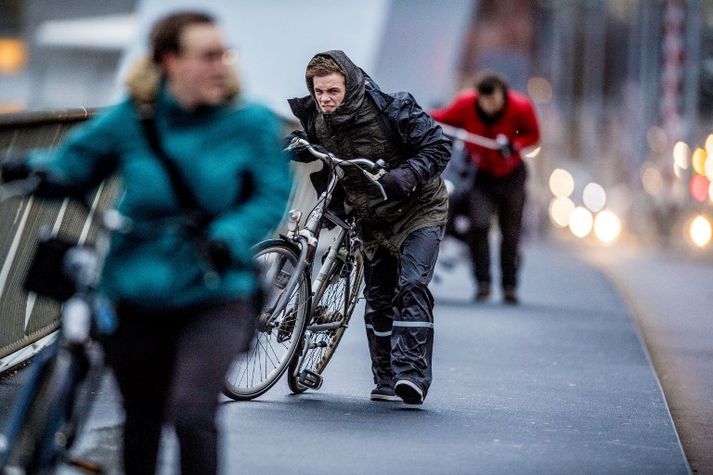 Hjólreiðarmenn í Rotterdam gáfust ekki upp þótt á móti blési í dag.