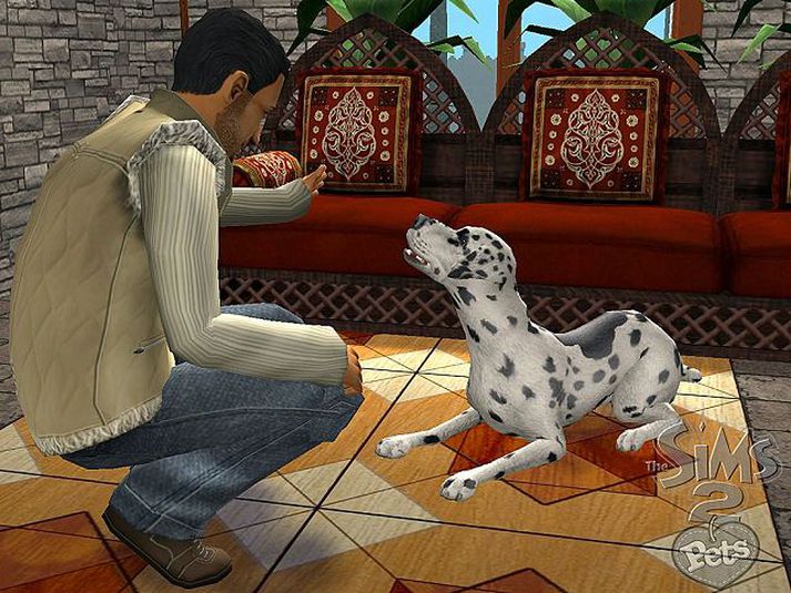 Tölvuleikurinn Sims 2 Pets er kominn út.