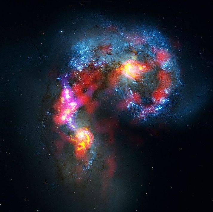 Hér sjást tvær vetrarbrautir sem nefnast Loftnetið og eru í 70 milljóna ljósára fjarlægð í stjörnumerkinu Hrafninum. 
mynd/ALMA (ESO/NAOJ/NRAO)/NASA/ESA Hubble Space Telescope