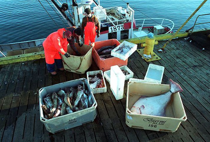 Sérstakt atvinnuleysistryggingakerfi hefur verið rekið fyrir smábátasjómenn, vörubílstjóra og bændur, sem eru með eigin rekstur. Sjóðurinn hefur verið fjármagnaður af tryggingagjaldi þessara stétta.