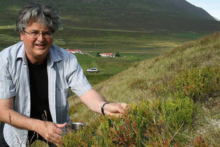 Berin seinni á ferð Sveinn Rúnar Hauksson berjaáhugamaður segir berin ekki svíkja okkur í ár þó þau séu seinna á ferðinni.