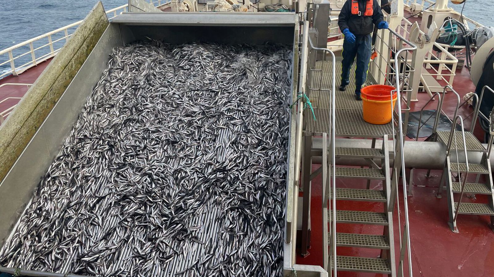 Halda til loðnu­veiða í kvöld