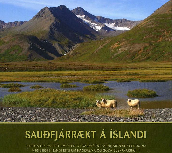Á lokametrum nýrrar bókar um sauðfjárrækt var bætt við kafla um smalahunda, að sögn ritstjóra hennar.
