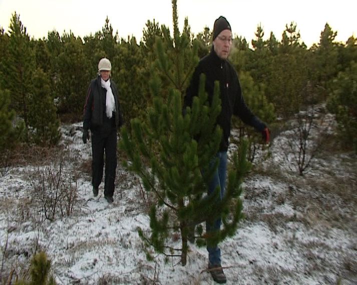 Margir lögðu leið sína í jólaskóginn í Heiðmörk í dag.