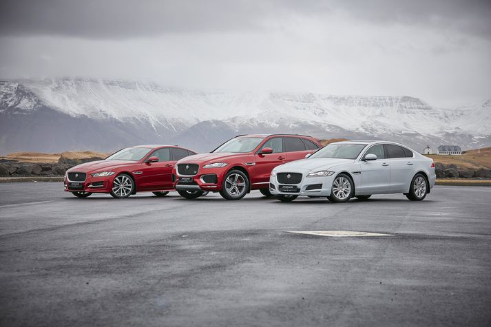 Jaguar XE, Jaguar F-Type og Jaguar XF og allir fallegir bílar.