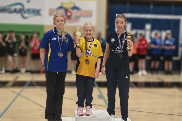 Anna Karen Malmquist Bjarnadóttir (fyrir miðju) og Agnes Lovísa Jóhannsdóttir (til hægri) unnu til verðlauna í opnum flokki.