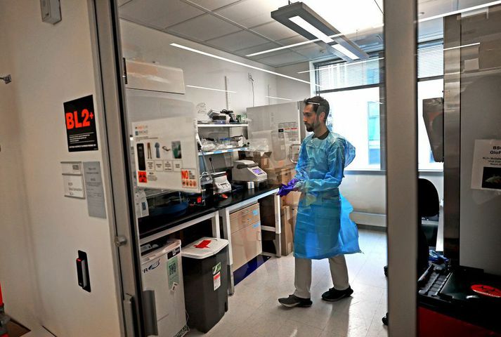 Um þessar mundir er vel fylgst með útbreiðslu H5N1 í Bandaríkjunum en leyfar af fuglaflensu hafa fundist í mjólk úti í búð eftir að veiran barst í nautgripi.