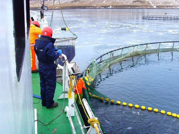 Fjarðalax hefur leyfi fyrir 1.500 tonna laxeldi í Arnarfirði og vill ekki fá fleiri eldisfyrirtæki í fjörðinn. Tvö eru hins vegar á leiðinni.