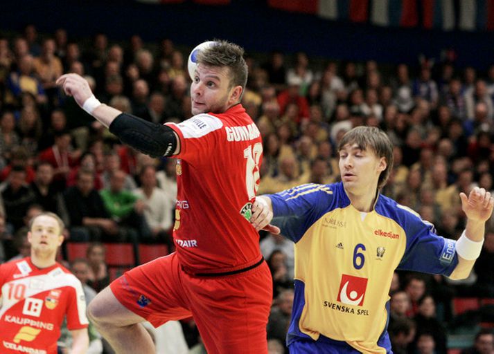 Róbert Gunnarsson skoraði sex mörk í dag