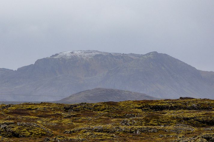 Hraun sem runnið hefur í sprungugosum á Reykjanesskaga þekur um fjórðung af flatarmáli skagans.