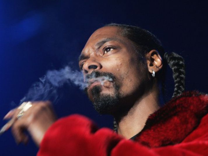 Snoop varð ekki afhuga Hollandi vegna þessa vesens og ætlar áfram að heimsækja landið árlega.