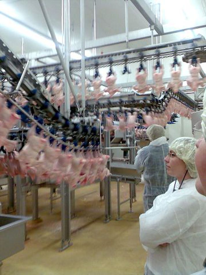 Marel framleiðir meðal annars vélar til vinnslu á kjúklinga­kjöti. Fréttablaðið/ÓKA