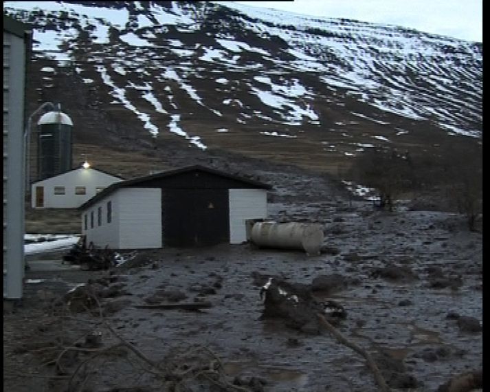 Frá Grænuhlíð í morgun.