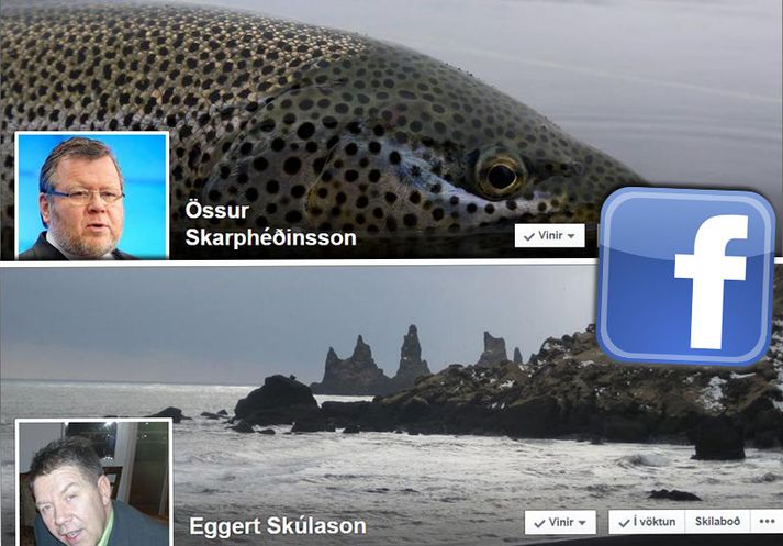 Össur og Eggert eru nýjir á Facebook og vefst ekki fyrir þeim að fóta sig á þeim hála ís.
