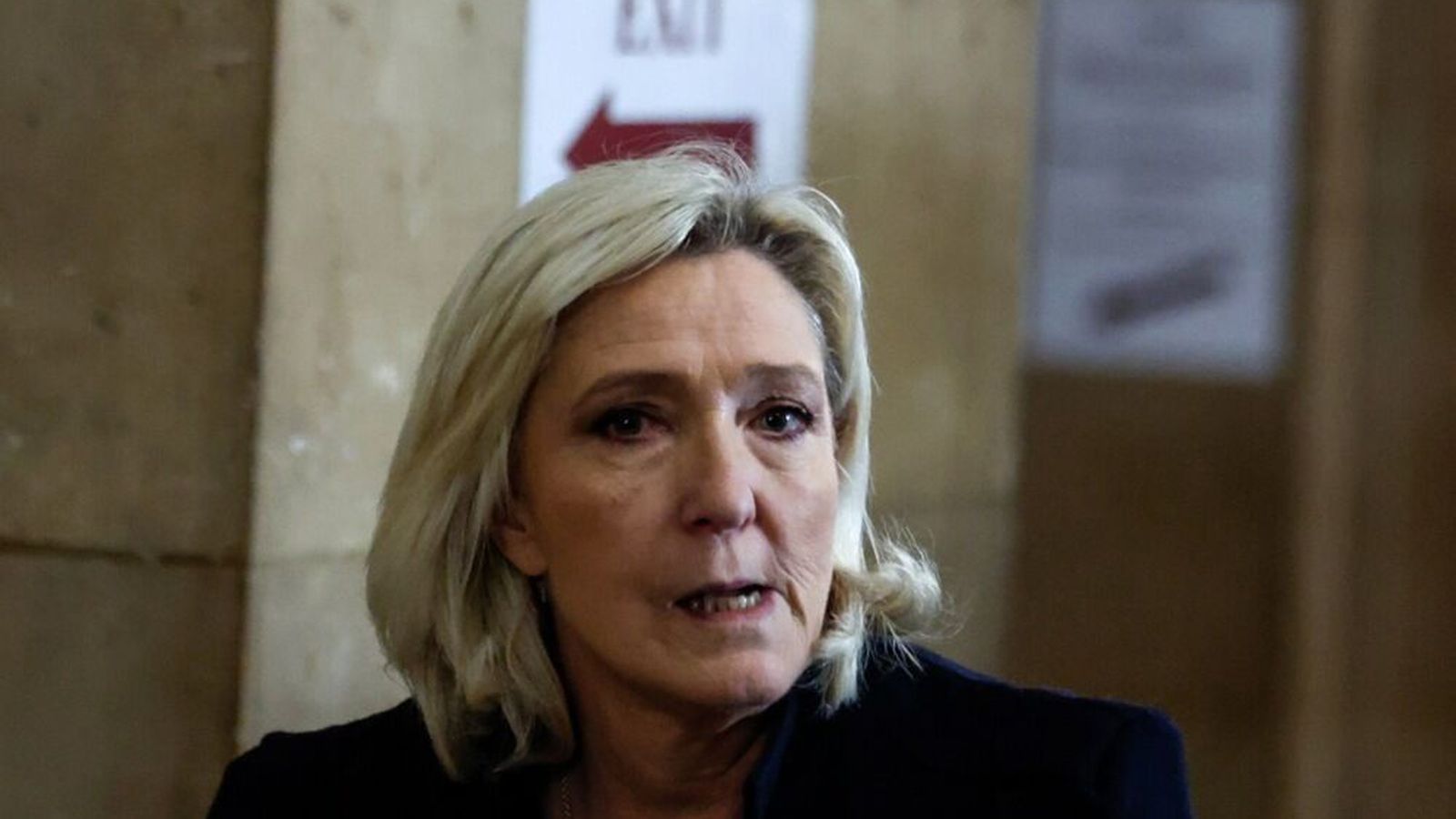 Reyndu að fá dómara til að hlutast til um mál Le Pen