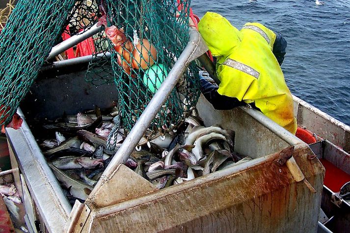 Íslensk sjávarútvegsfyrirtæki fengu ellefu milljarða afskrifaða á árunum 2009 og 2010.
