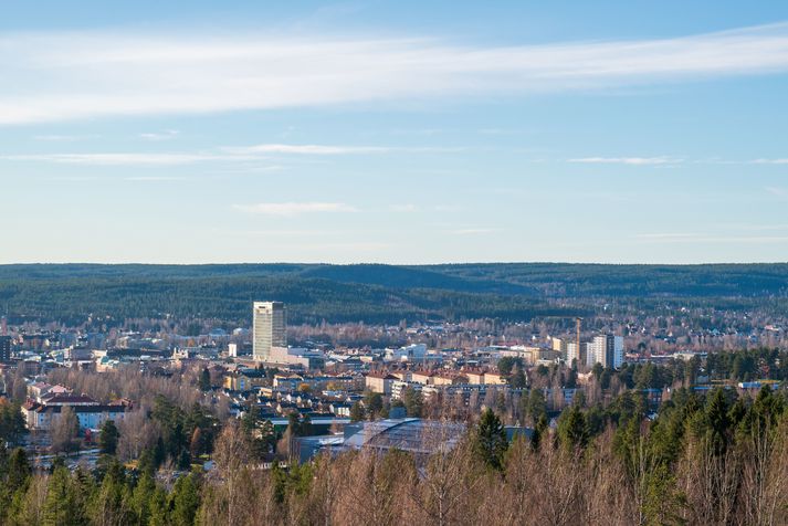 Atvikið átti sér stað í borginni Skellefteå í Västerbottens län.