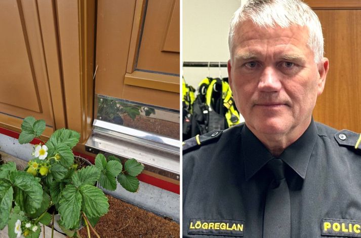 Þjófar kunna örugglega ýmis ráð til að fylgjast með ferðum fólks og tannstönglatrixið er eitt þeirra.