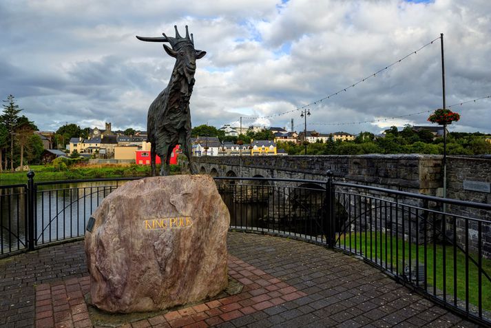 Enginn veit af hverju geit er krýnd á ári hverju í bænum Killorglin.