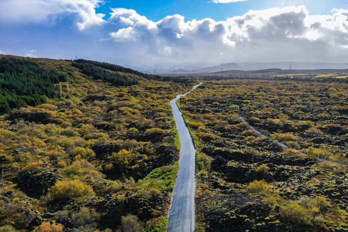 Úr Heiðmörk. Myndin er úr safni.