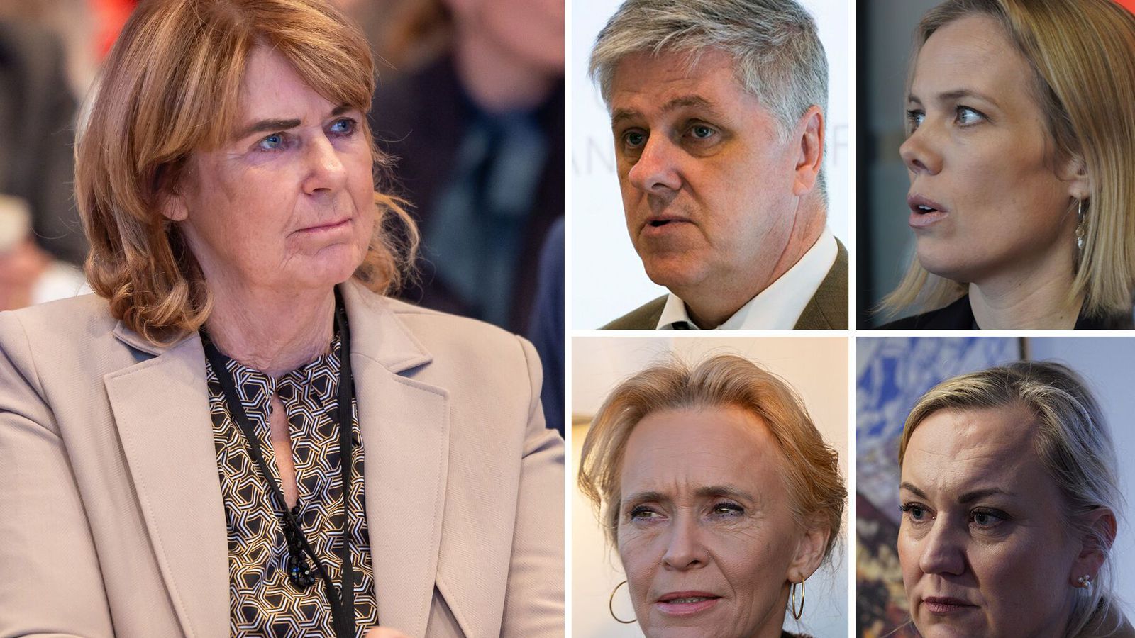 Sam­fylkingin kveinkar sér undan stór­skota­hríð Við­reisnar