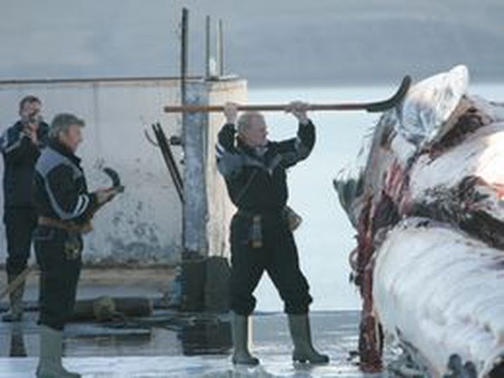 Hvalskurður í Hvalfirði.
