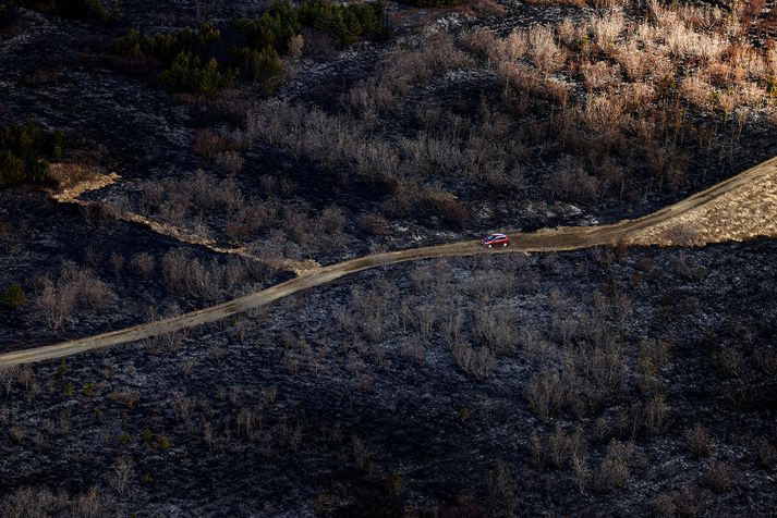 Eldurinn í Heiðmörk skilur eftir sig sviðna jörð. Misjafnt er hversu vel svæði jafna sig eftir gróðurelda og ekki er víst að það grói upp eins og áður.