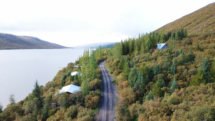 Aðeins um sjötíu íbúar eru skráðir til heimilis í Skorradalshreppi en oddviti telur raunverulegan fjölda íbúa vera lægri.