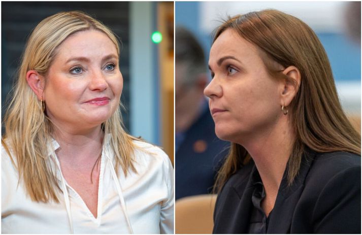Nú gengur mikið á að tjaldabaki í Framsóknarflokknum. Þær Lilja D. Alfreðsdóttir og Ingibjörg Ísaksen takast á um formennskustólinn.