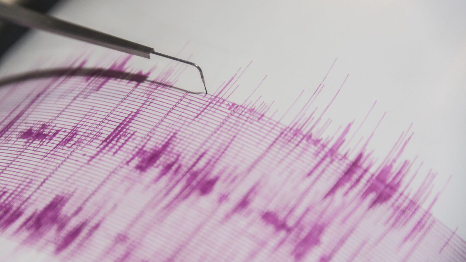Stór skálfti í Japan og flóðbylgjuviðvörun gefin út